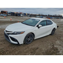 2021 TOYOTA CAMRY 4T1G31AK0MU026006 98922945