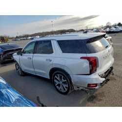 2021 HYUNDAI PALISADE KM8R4DHE8MU335407 95141655