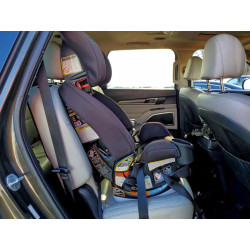 2020 KIA TELLURIDE 5XYP6DHC0LG044730 95181985