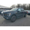 2023 FORD F-150 1FTEW1E83PFB18012 95727445