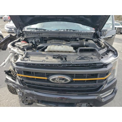 2023 FORD F-150 1FTEW1E83PFB18012 95727445