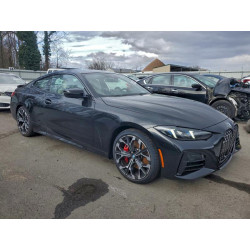 2025 BMW 4 SERIES WBA63DA00SCU19519 96141895
