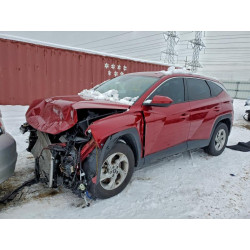 2024 HYUNDAI TUCSON 5NMJACDE9RH407918 96100445