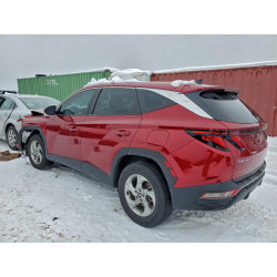 2024 HYUNDAI TUCSON 5NMJACDE9RH407918 96100445