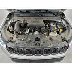 2024 JEEP COMPASS 3C4NJDDN3RT144948 99421895