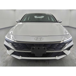 2025 HYUNDAI ELANTRA KMHLN4DJ8SU157047 99578605