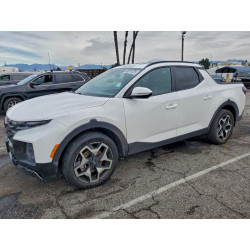 2023 HYUNDAI SANTA CRUZ 5NTJEDAF9PH063385 99816425