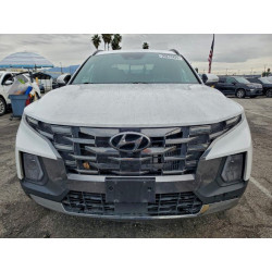 2023 HYUNDAI SANTA CRUZ 5NTJEDAF9PH063385 99816425