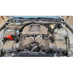 2024 FORD MUSTANG 1FA6P8CF0R5434929 73219995