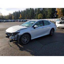 2023 TOYOTA CAMRY 4T1F31AK1PU599142 92795445