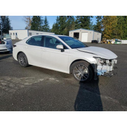 2023 TOYOTA CAMRY 4T1F31AK1PU599142 92795445