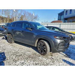 2025 MAZDA CX-50 7MMVAAEW2SN127019 95432835