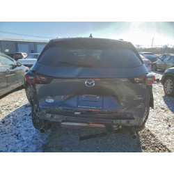 2025 MAZDA CX-50 7MMVAAEW2SN127019 95432835
