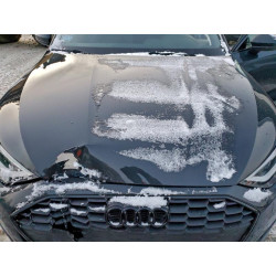 2024 AUDI A3 WAUGUDGY0RA060435 96930145