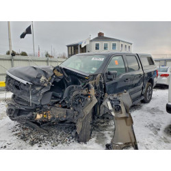 2022 FORD F150 LIGHT 1FTVW1EL0NWG14967 99799475