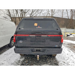 2022 FORD F150 LIGHT 1FTVW1EL0NWG14967 99799475