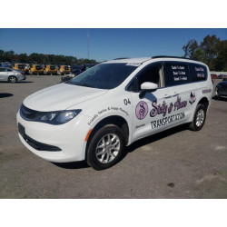 2020 CHRYSLER MINIVAN 2C4RC1DG9LR157550 86829335