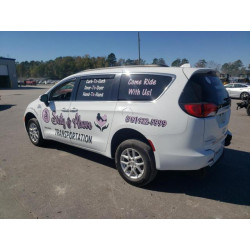 2020 CHRYSLER MINIVAN 2C4RC1DG9LR157550 86829335