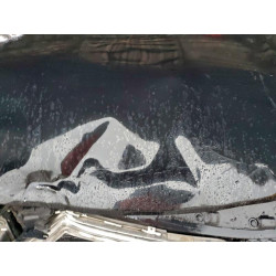 2022 CHRYSLER MINIVAN 2C4RC1CG1NR219026 95946925