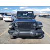 2024 JEEP WRANGLER 1C4PJXDG7RW238370 86604375