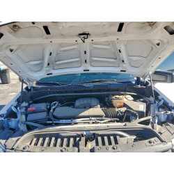 2021 CHEVROLET ALL Models 3GCPWBEKXMG351082 96687695