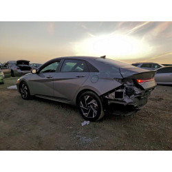 2025 HYUNDAI ELANTRA KMHLM4DG6SU870200 96585055
