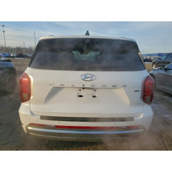 2023 HYUNDAI PALISADE KM8R7DGEXPU593716 96763395