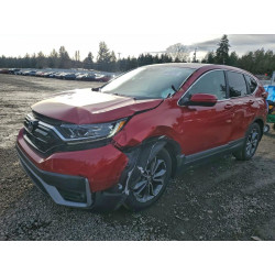 2020 HONDA CRV 7FARW1H54LE014814 98978235