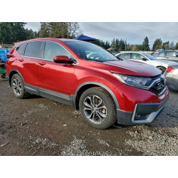 2020 HONDA CRV 7FARW1H54LE014814 98978235