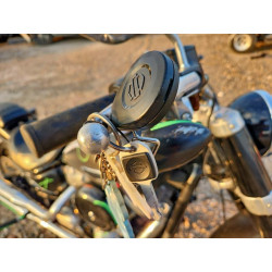 2021 HARLEY-DAVIDSON FLSL 1HD1YDJ1XMB053731 96723945