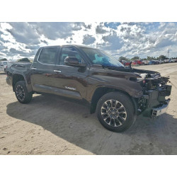 2025 TOYOTA TUNDRA 5TFJA5DB3SX320529 96067935