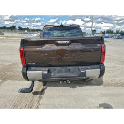 2025 TOYOTA TUNDRA 5TFJA5DB3SX320529 96067935