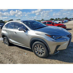 2020 LEXUS NX JTJAARBZXL5018785 97350665
