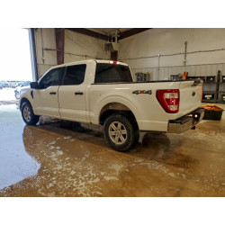 2023 FORD F-150 1FTFW1E57PKE10585 95669495