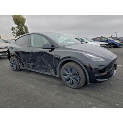 2024 TESLA MODEL Y 7SAYGDED1RF160018 95446485