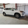 2020 HYUNDAI SANTA FE 5NMS23AD1LH250017 97674205