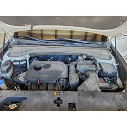 2020 HYUNDAI SANTA FE 5NMS23AD1LH250017 97674205