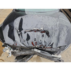 2025 NISSAN ALTIMA 1N4BL4DV8SN327836 99601825