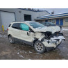 2020 FORD ECOSPORT MAJ6S3GL7LC393137 95696535