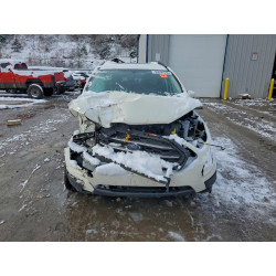 2020 FORD ECOSPORT MAJ6S3GL7LC393137 95696535