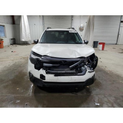2025 SUBARU FORESTER JF2SLDBC9SH481919 90617165