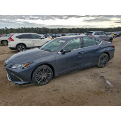 2022 LEXUS ES300 58ADA1C19NU025685 98057505