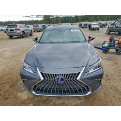 2022 LEXUS ES300 58ADA1C19NU025685 98057505