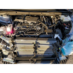 2025 TOYOTA All Models 5TDJRKEC8SS257951 98161125