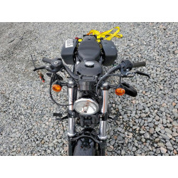 2022 HARLEY-DAVIDSON SPRTSTR120 1HD1LC315NB403211 96058615