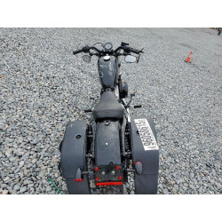 2022 HARLEY-DAVIDSON SPRTSTR120 1HD1LC315NB403211 96058615