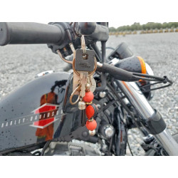 2022 HARLEY-DAVIDSON SPRTSTR120 1HD1LC315NB403211 96058615