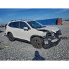 2023 SUBARU FORESTER JF2SKAPC7PH518466 96923405