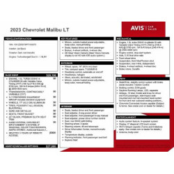 2023 CHEVROLET MALIBU 1G1ZD5ST6PF183873 97363115