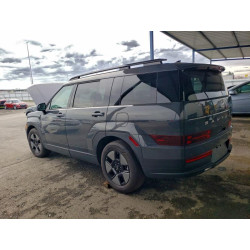 2025 HYUNDAI SANTA FE 5NMP2DG15SH050202 98368405